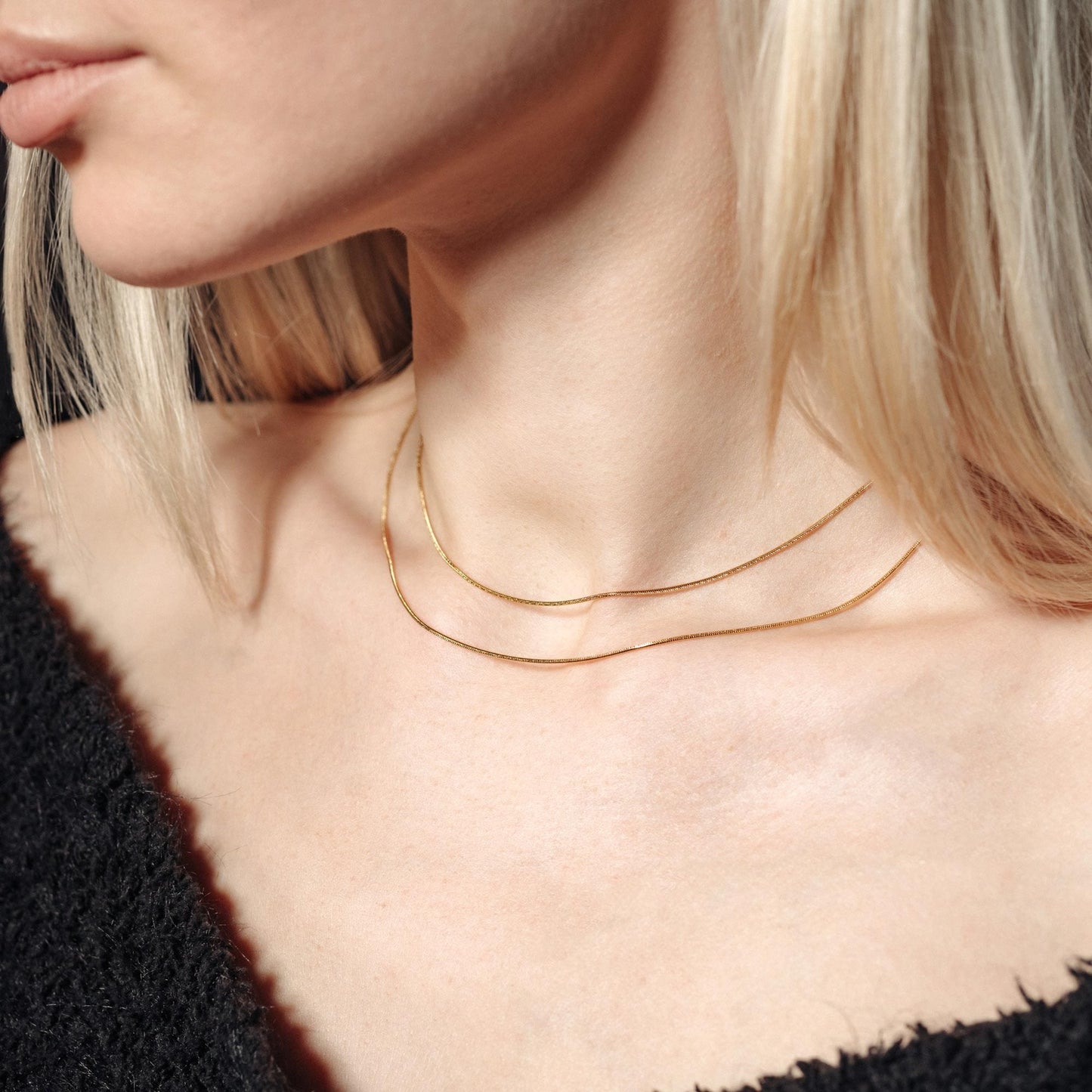Diana Double Layer Necklace