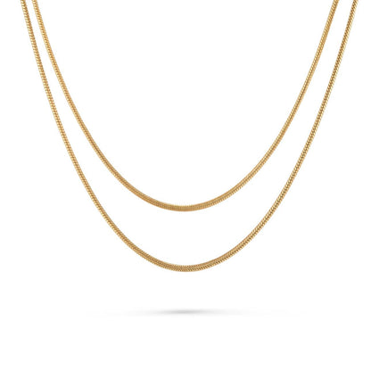Diana Double Layer Necklace